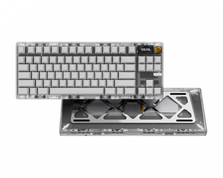  ZOOM TKL DYNA - Frosted Clear