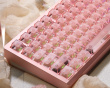 Slice75 HE Gaming Tangentbord ANSI - Rosa