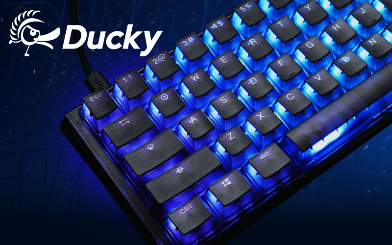 Ducky Kampanj