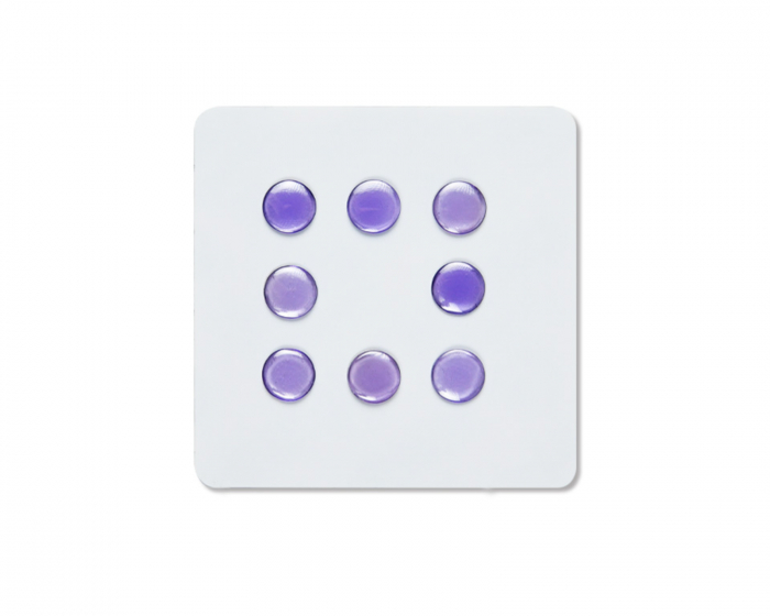 Unusual Way Sports Fox Gaze - Universal Dots - Lila