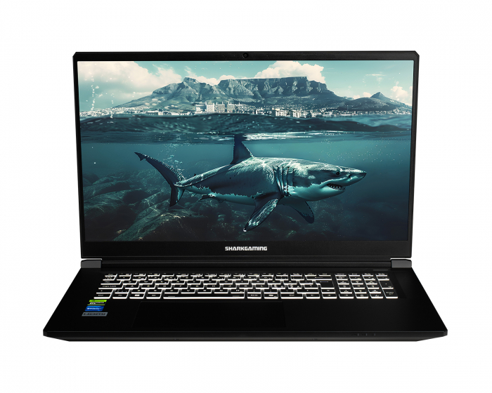 Shark Gaming 17,3