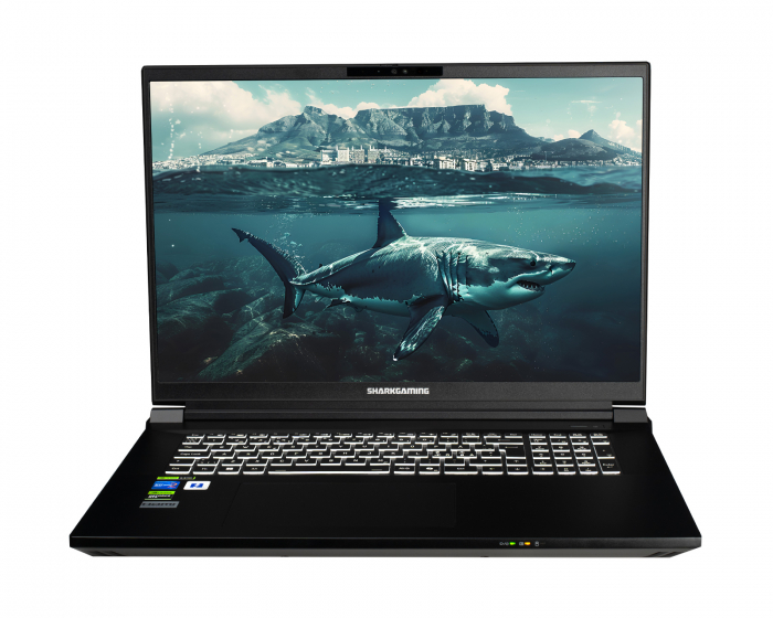 Shark Gaming 18