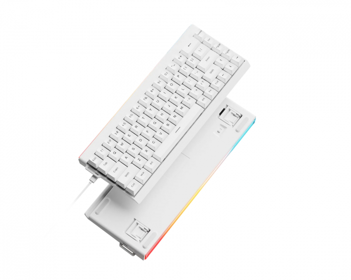 EWEADN DK68 Magnetic HE Tangentbord ANSI [Gateron Wuji] - Vit