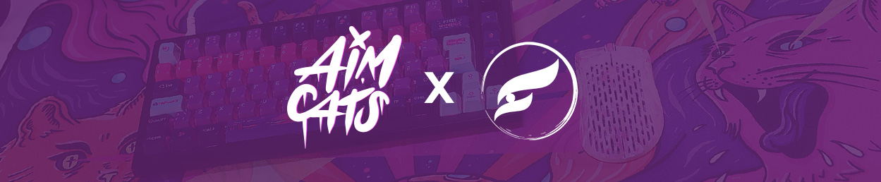 Aim Cats Musmatta - MaxGaming