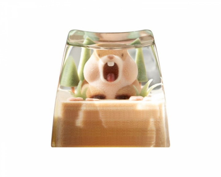  Screaming Marmot