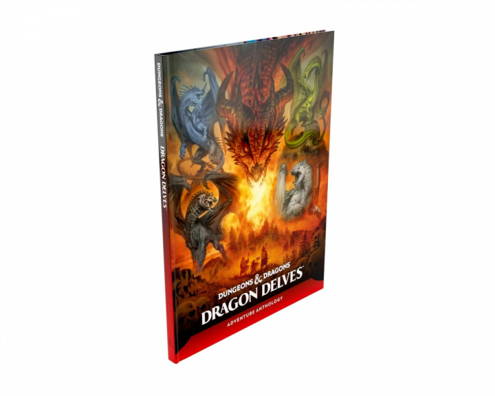  Dungeons & Dragons: Dragon Delves - Bok