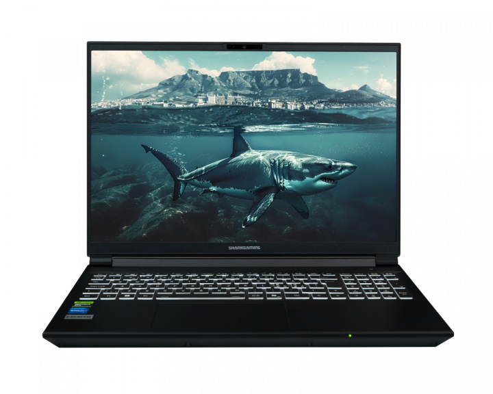 Shark Gaming 16