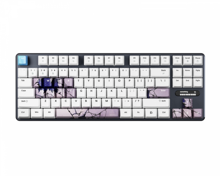  PCMK 3 HE TKL Tangentbord ANSI - Something Edition