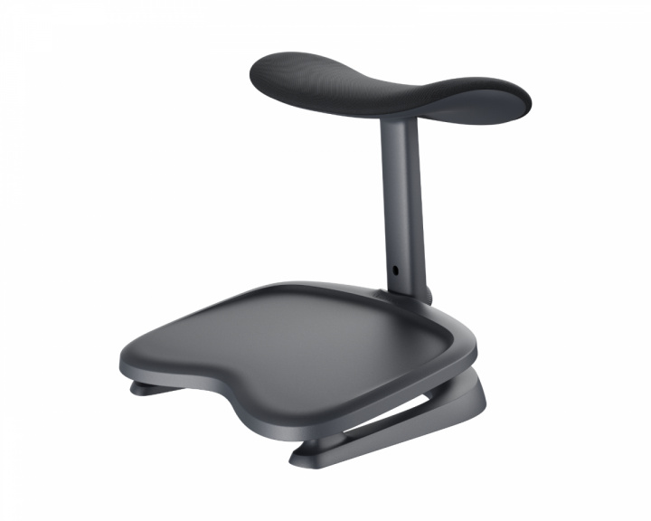  Ergonomiskt Fotstöd med Dubbla Lager (för Omni Pro) - Graphite