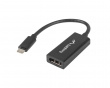 USB-C Hane till Displayport Hona Adapter