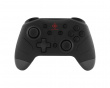 Nintendo Switch Bluetooth Controller