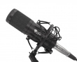 Radium 300 Studio XLR Mikrofon Bundle