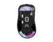 Glas Skates till Pulsar Xlite Series - Miami - Nachocustomz Edition