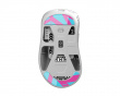 Glas Skates till Pulsar Xlite Series - Miami - Nachocustomz Edition