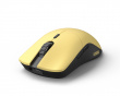 Model O Pro Wireless Gamingmus - Golden Panda - Forge