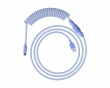 USB-C Coiled Cable - Ljuslila