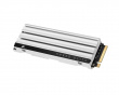 MP600 Elite PCIe Gen4 x4 NVMe M.2 SSD för PS5 - 2TB - Vit