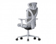 SpineX Pro Ergonomisk Kontorsstol - Grå