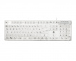 DK250 RGB Gaming Tangentbord - Transparent