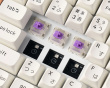 K2 HE Trådlöst QMK Tangentbord [Gateron 2.0 Purple Magnetic Switch] - Wood White