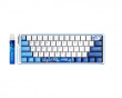 x LEV EDGE60 Extreme Ver HE Tangentbord [TTC RGB Magento]