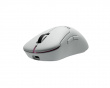 ZywOo the Chosen Mouse Medium - Vit
