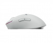 ZywOo the Chosen Mouse Medium - Vit