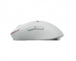 ZywOo the Chosen Mouse Medium - Vit