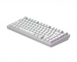 ALU81 Gaming Tangentbord RGB - Terra Nova [g3ms Moonstone] - Vit