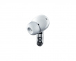 Ear (3) - Vit