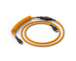Coil Cable - Glorious Gold