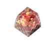 Animal Ice Cream - Chocolate