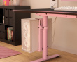 PC Fäste - Rosa
