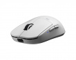 X2 CRAZYLIGHT Medium Trådlös Gamingsmus - Uyuni White X2 CRAZYLIGHT Medium Trådlös Gamingsmus - Uyuni White