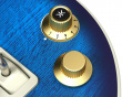 Gibson Les Paul Gitarrkontroll - Blueberry Burst Pro