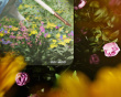 The Return Glas Musmatta – Limited Edition The Return Glas Musmatta – Limited Edition