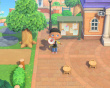 Animal Crossing: New Horizons - Switch 2