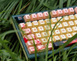 Year of the Snake 2025 Limited Edition Keyboard ISO - [Cherry MX2A Brown]