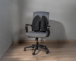 Ergonomisk Ländryggsstöd - Svart