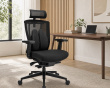 Ergonomisk Ländryggsstöd - Svart