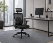 Ergonomisk Ländryggsstöd - Svart
