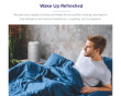 Core Mini Pro HEPA Luftrenare