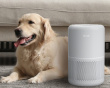 Core 300S Pro Smart HEPA Luftfuktare