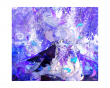 SHION Glas Musmatta - Limited Edition