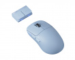 TenZ Medium Signature Edition 2.0 Gamingmus - Misty Blue