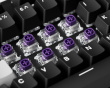 Magnetic Switch Gravity S Pro (95-Pack)