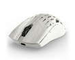 Trinity CF 8K Trådlös Gamingmus - Solid - Vit