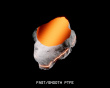 Origin Orange Universal PTFE Mouse Dots - 20 st