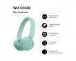 WH-CH530 Trådlösa On-Ear hörlurar - Mint