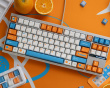 Citrus Relativity - Novelty kit